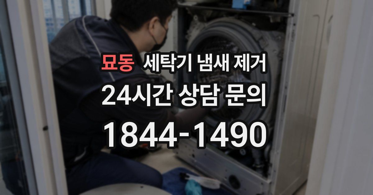 묘동 세탁기 냄새 제거