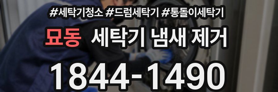 묘동 세탁기 냄새 제거