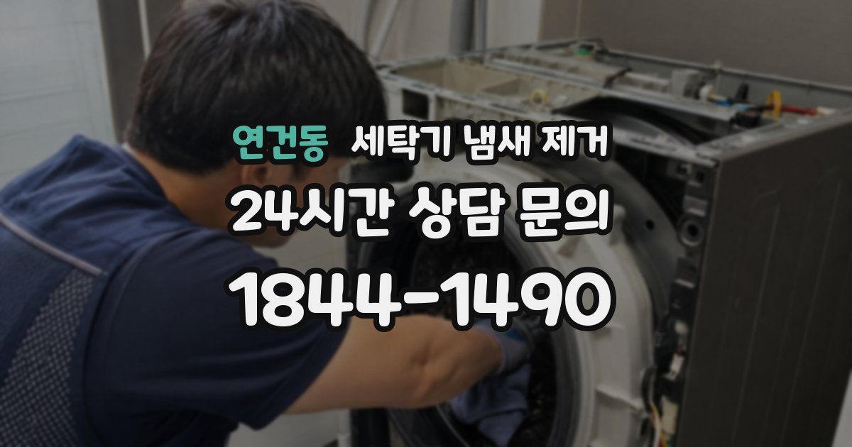연건동 세탁기 냄새 제거