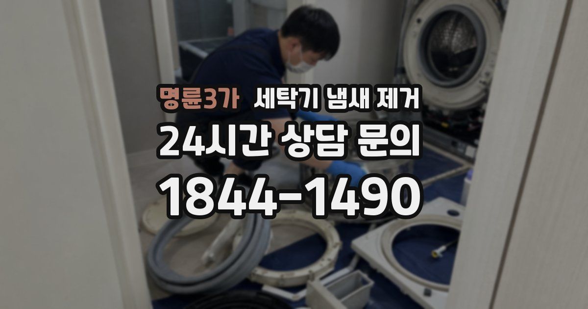 명륜3가 세탁기 냄새 제거