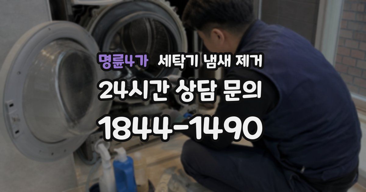 명륜4가 세탁기 냄새 제거