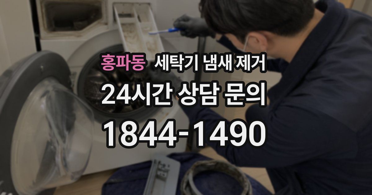 홍파동 세탁기 냄새 제거