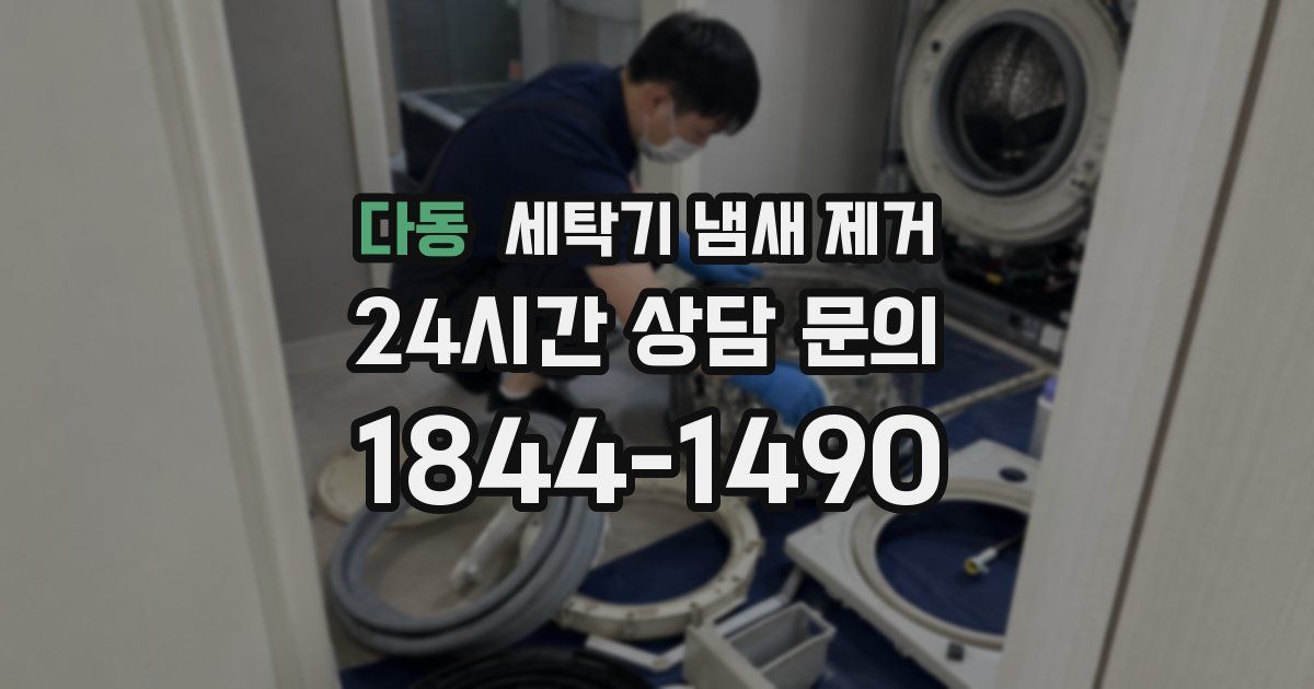 다동 세탁기 냄새 제거