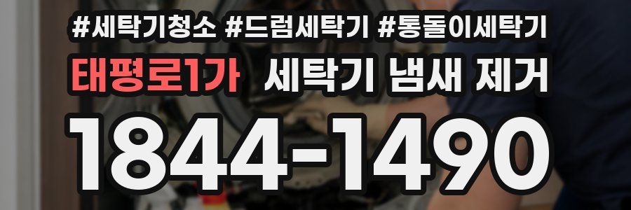 태평로1가 세탁기 냄새 제거