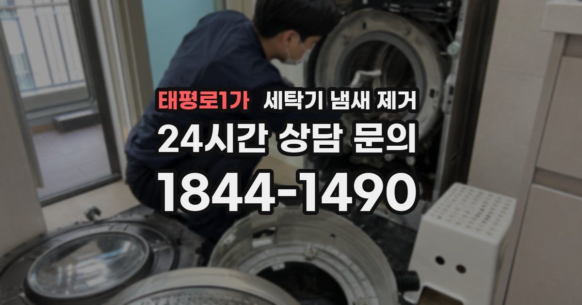 태평로1가 세탁기 냄새 제거