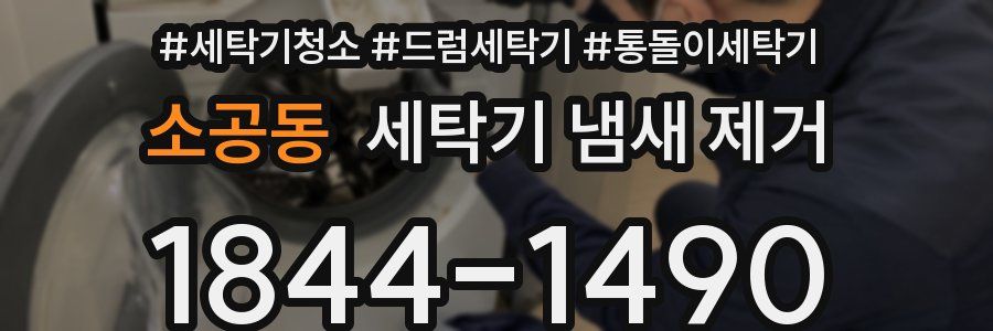 소공동 세탁기 냄새 제거