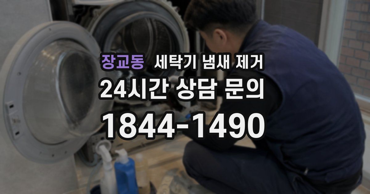 장교동 세탁기 냄새 제거
