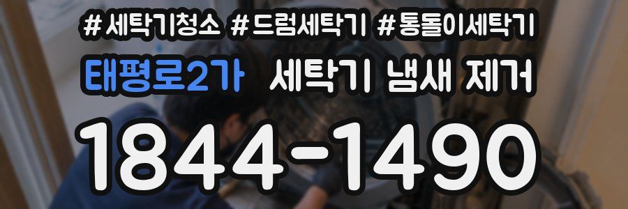 태평로2가 세탁기 냄새 제거