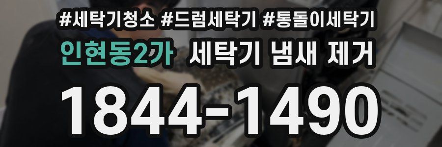 인현동2가 세탁기 냄새 제거