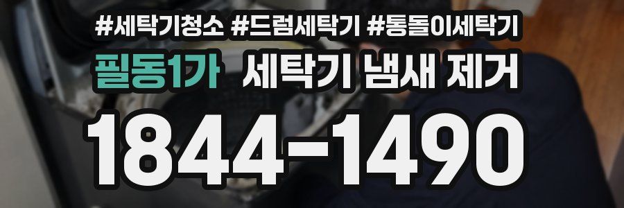 필동1가 세탁기 냄새 제거