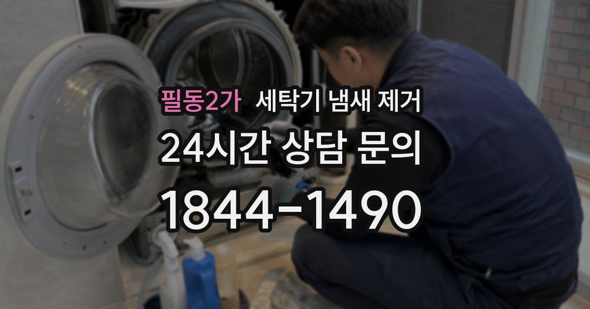 필동2가 세탁기 냄새 제거