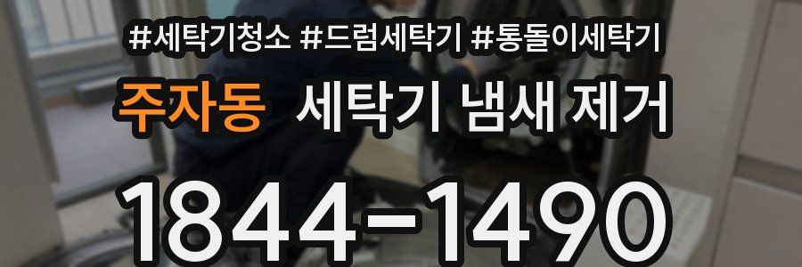 주자동 세탁기 냄새 제거
