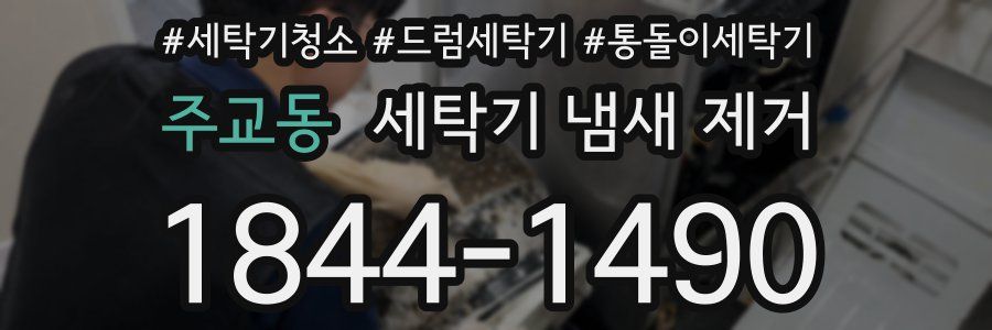 주교동 세탁기 냄새 제거