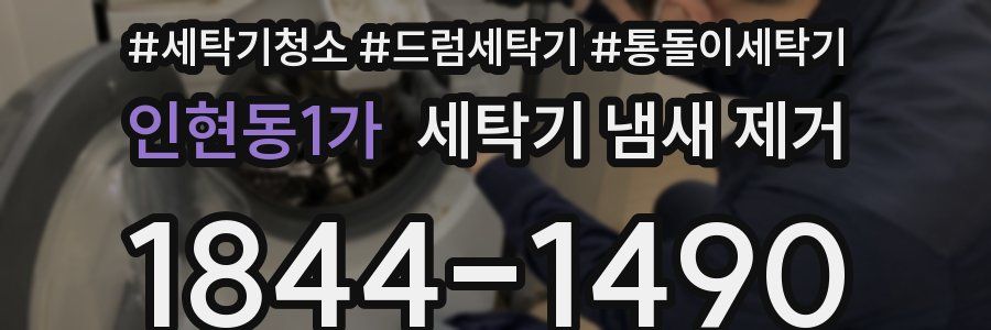 인현동1가 세탁기 냄새 제거