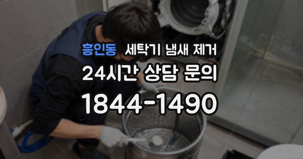 흥인동 세탁기 냄새 제거