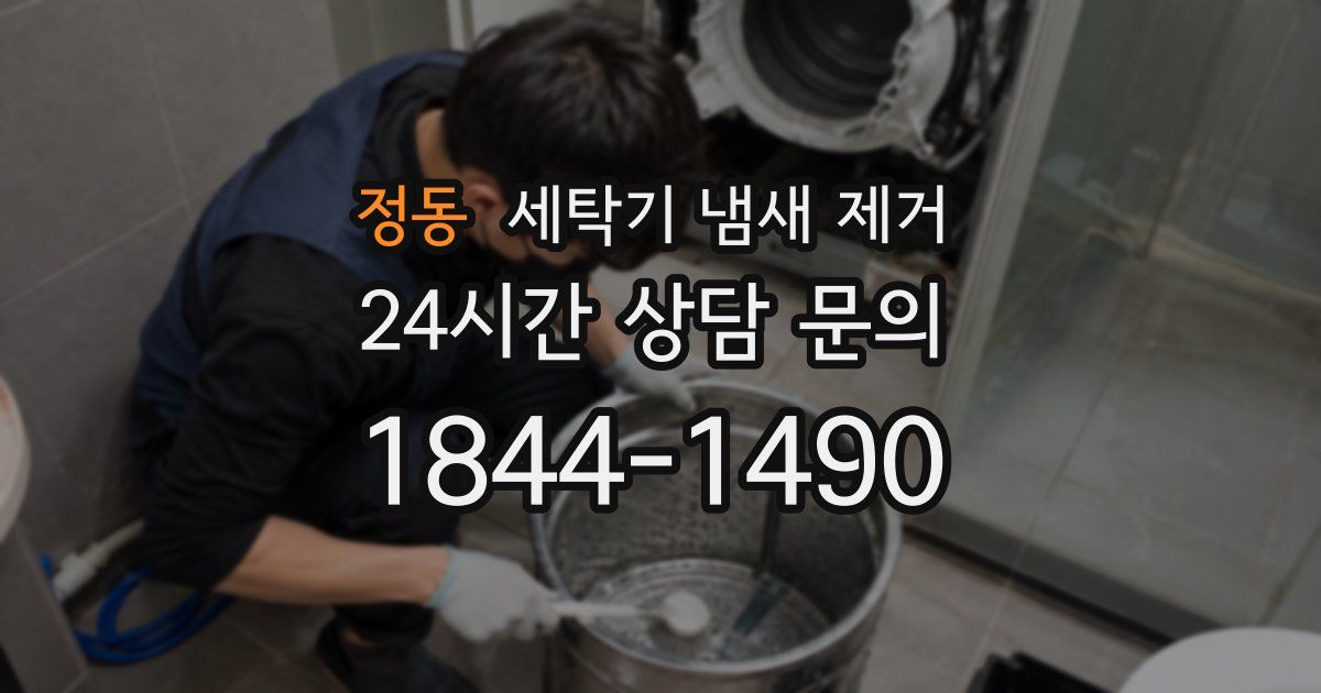 정동 세탁기 냄새 제거