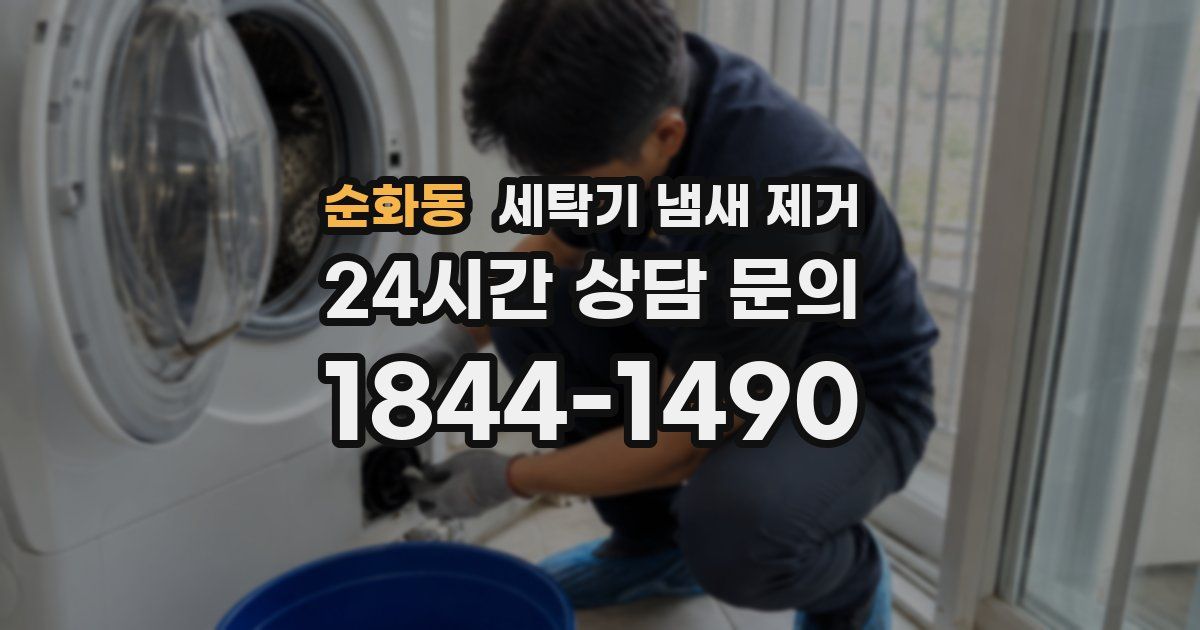 순화동 세탁기 냄새 제거