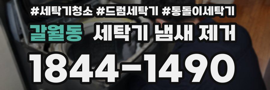 갈월동 세탁기 냄새 제거