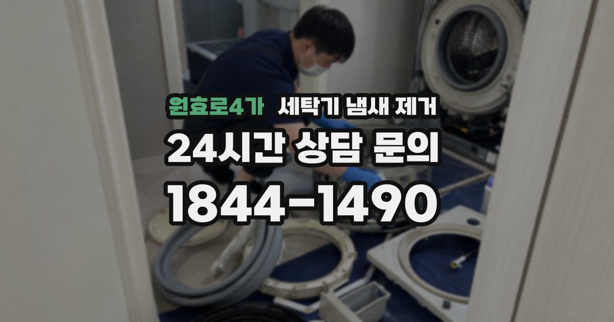 원효로4가 세탁기 냄새 제거