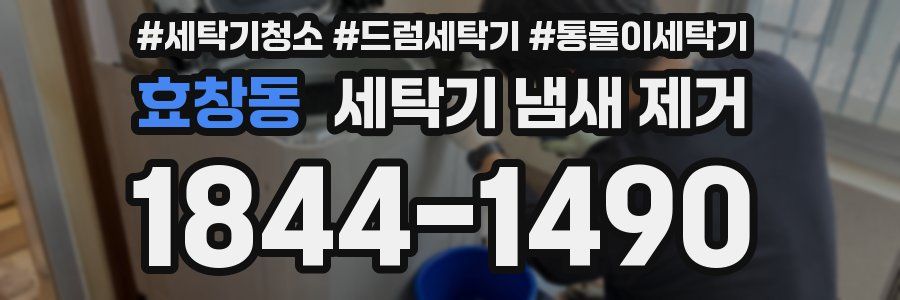 효창동 세탁기 냄새 제거
