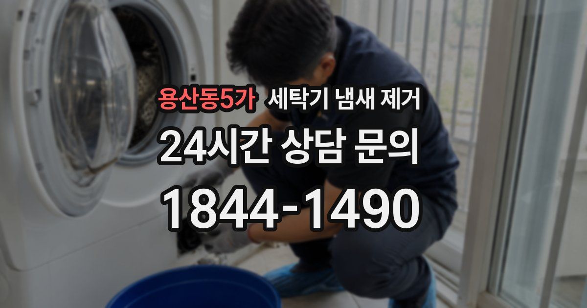 용산동5가 세탁기 냄새 제거