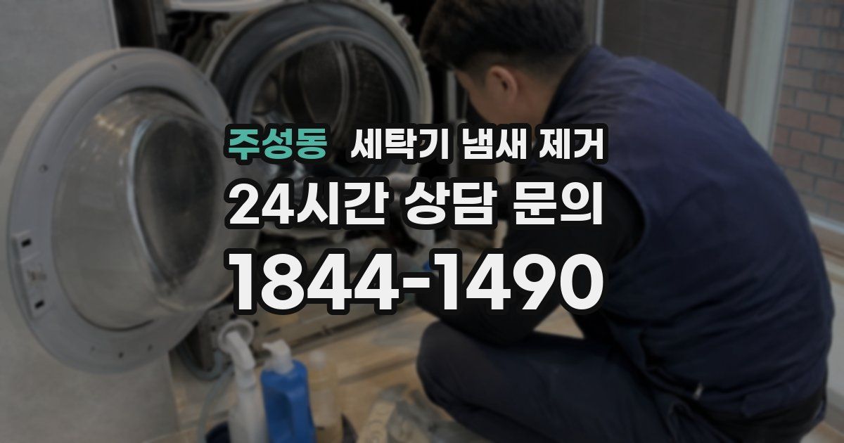 주성동 세탁기 냄새 제거