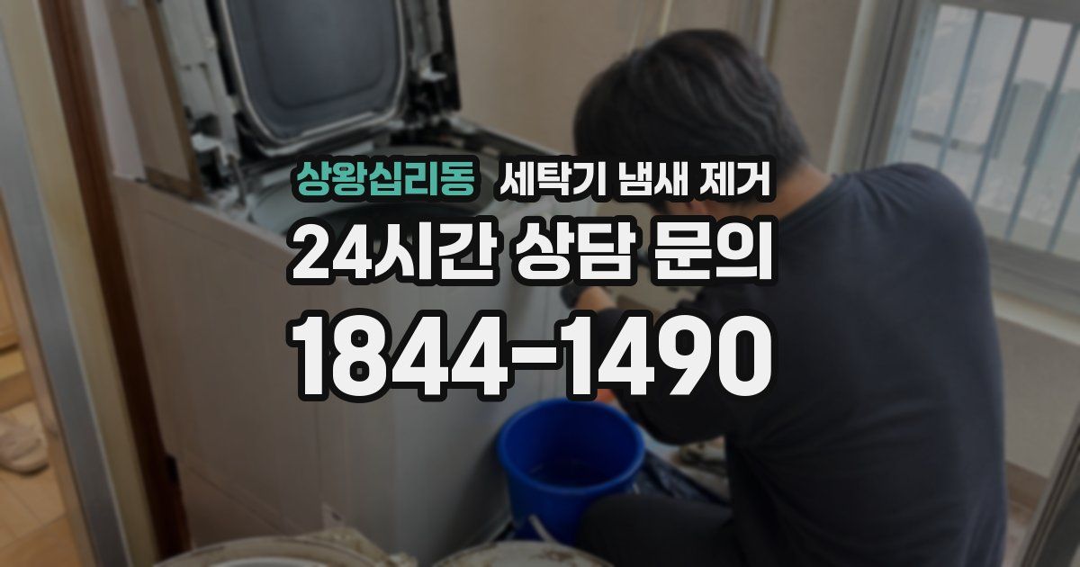 상왕십리동 세탁기 냄새 제거