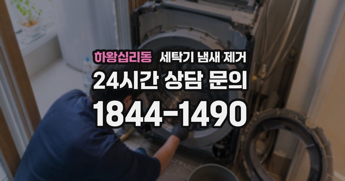 하왕십리동 세탁기 냄새 제거
