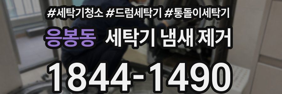 응봉동 세탁기 냄새 제거