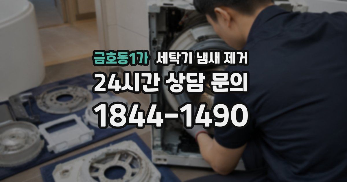 금호동1가 세탁기 냄새 제거