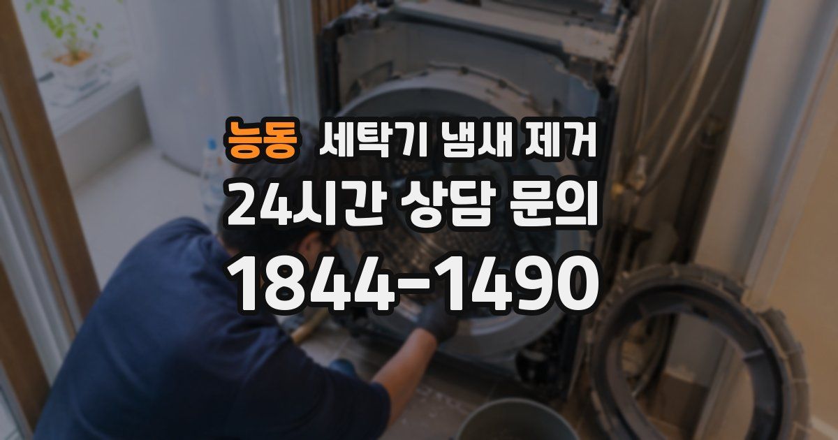 능동 세탁기 냄새 제거