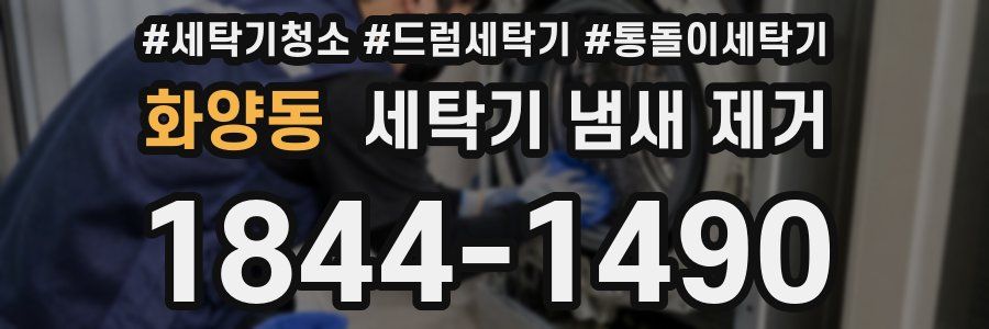 화양동 세탁기 냄새 제거