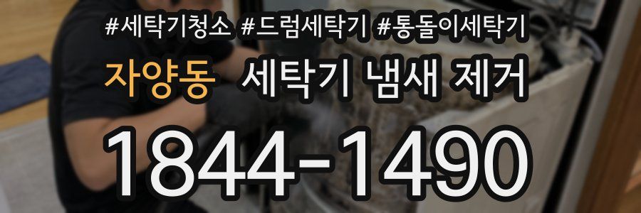 자양동 세탁기 냄새 제거