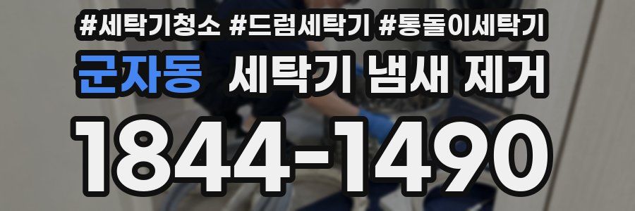 군자동 세탁기 냄새 제거