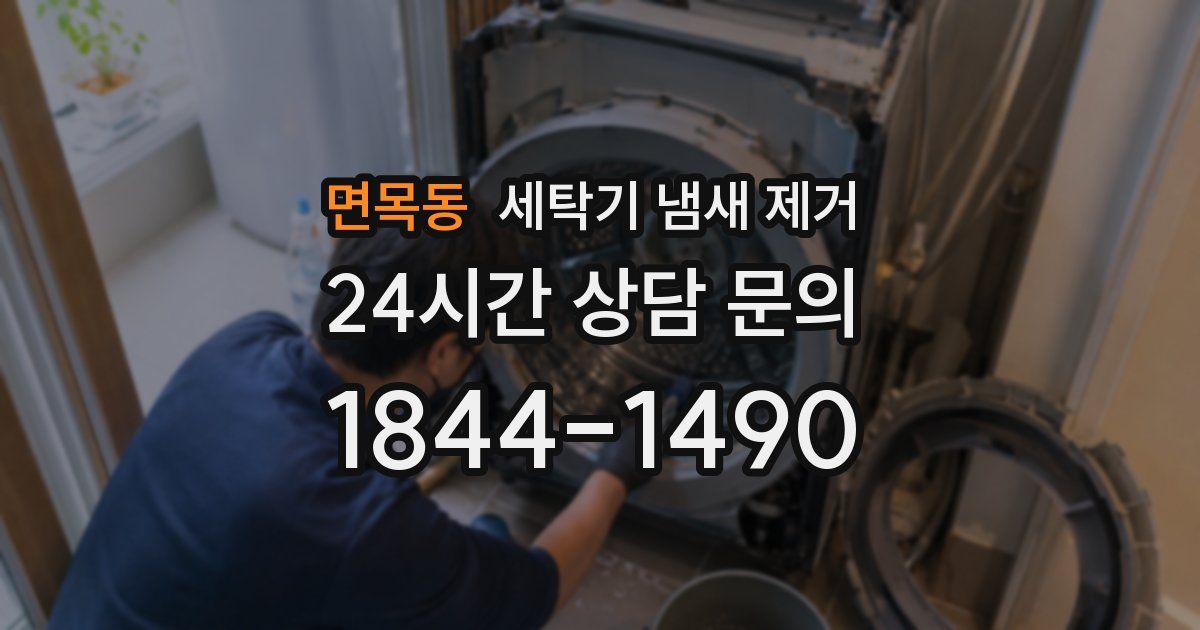 면목동 세탁기 냄새 제거