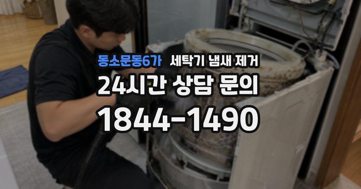 동소문동6가 세탁기 냄새 제거