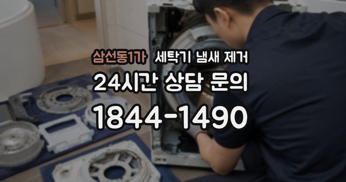 삼선동1가 세탁기 냄새 제거