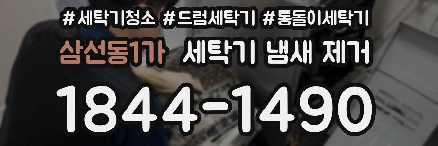 삼선동1가 세탁기 냄새 제거