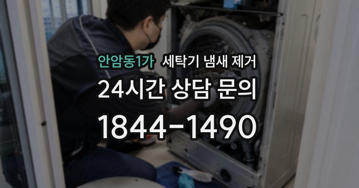 안암동1가 세탁기 냄새 제거