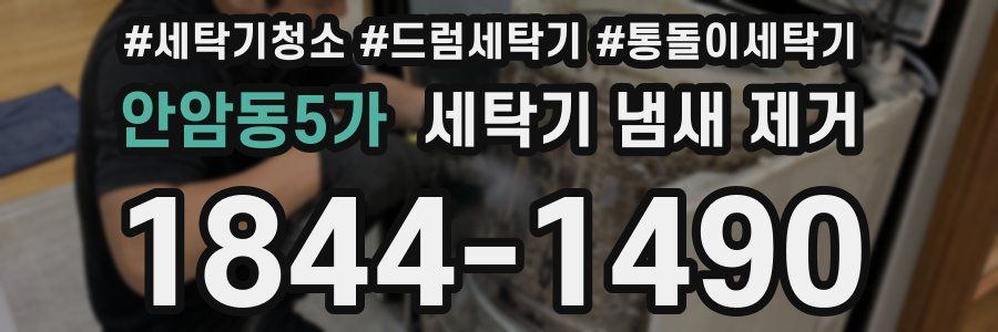 안암동5가 세탁기 냄새 제거