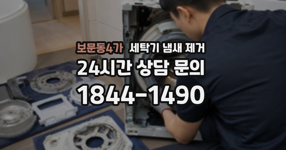 보문동4가 세탁기 냄새 제거