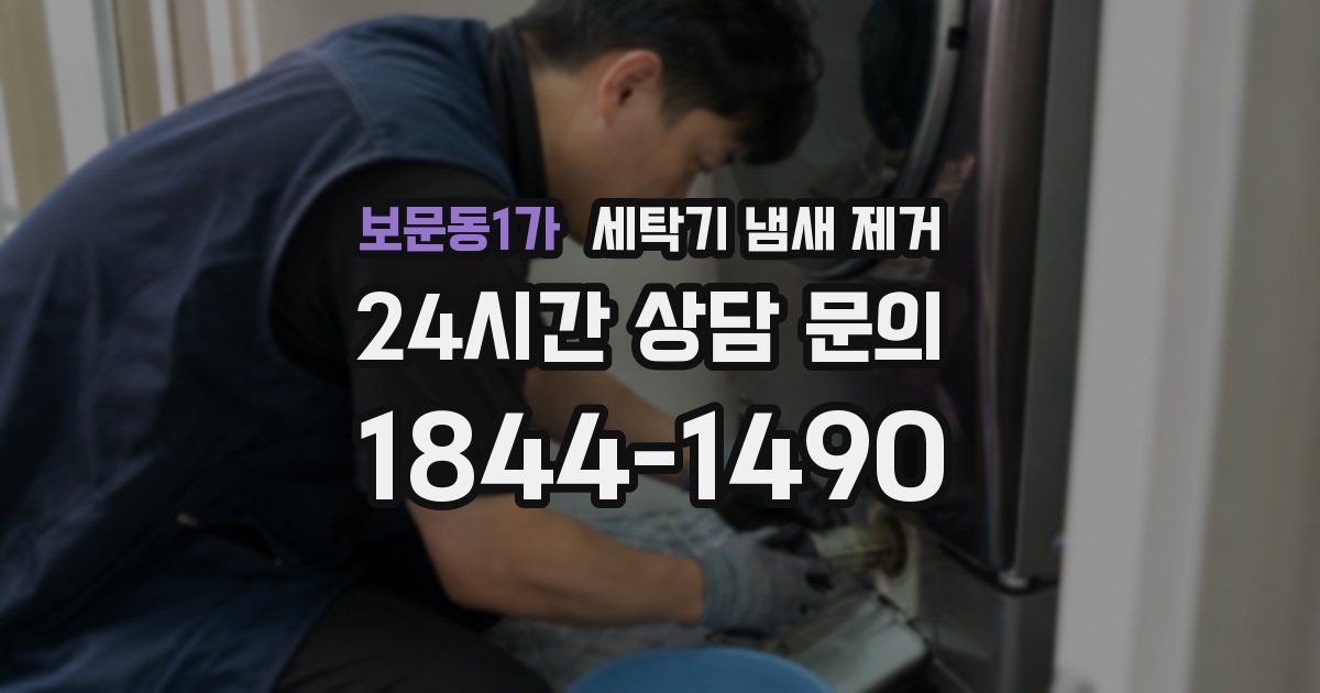 보문동1가 세탁기 냄새 제거