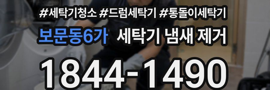 보문동6가 세탁기 냄새 제거