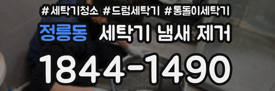 정릉동 세탁기 냄새 제거