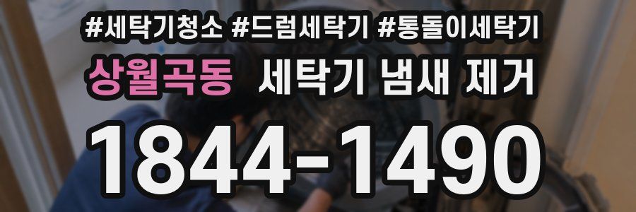 상월곡동 세탁기 냄새 제거