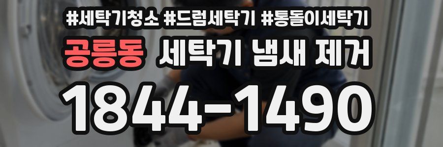 공릉동 세탁기 냄새 제거