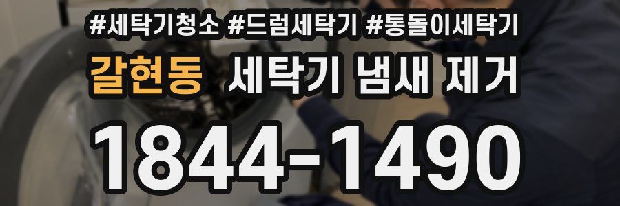 갈현동 세탁기 냄새 제거