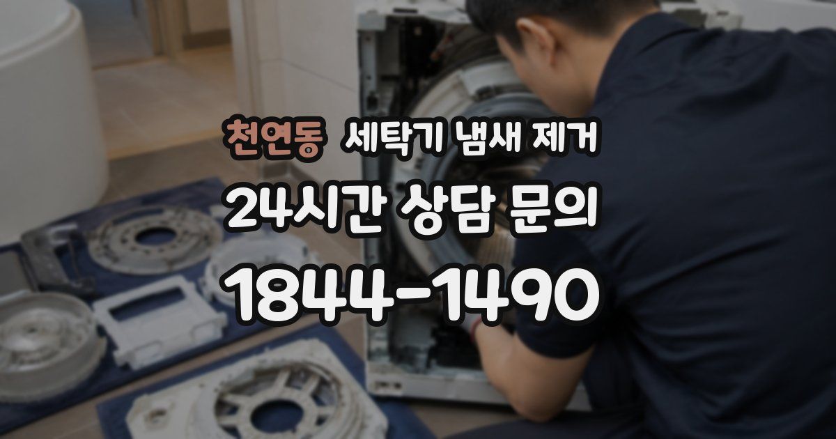 천연동 세탁기 냄새 제거