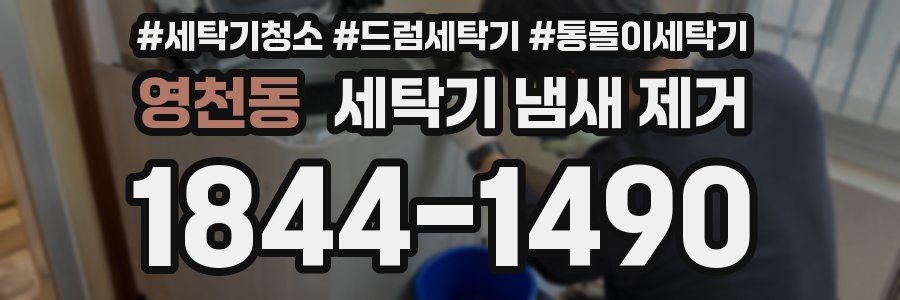 영천동 세탁기 냄새 제거