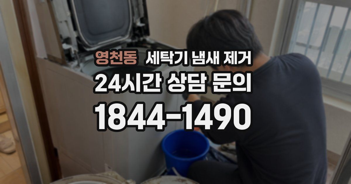 영천동 세탁기 냄새 제거
